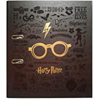 Los mejores  - Grupo Erik - Archivador de palanca Gafas- Harry Potter (28x32 cm)